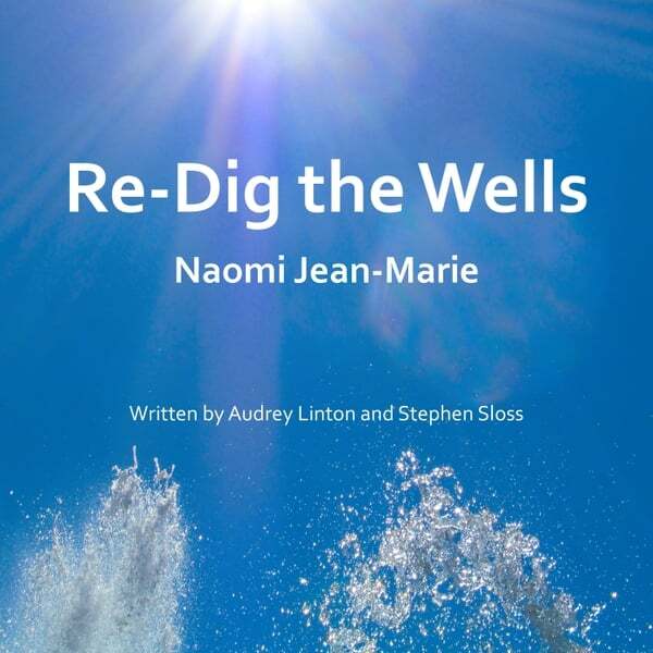 Cover art for Re-Dig the Wells